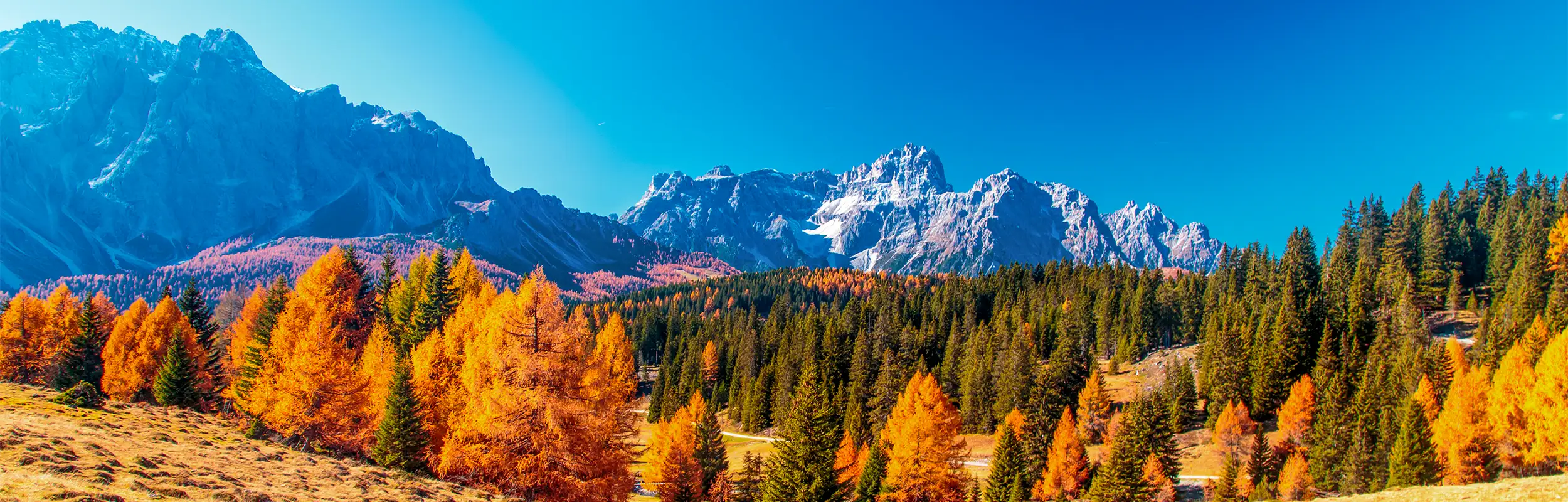 Wald mit Herbstfärbung und Bergkulisse im Pustertal