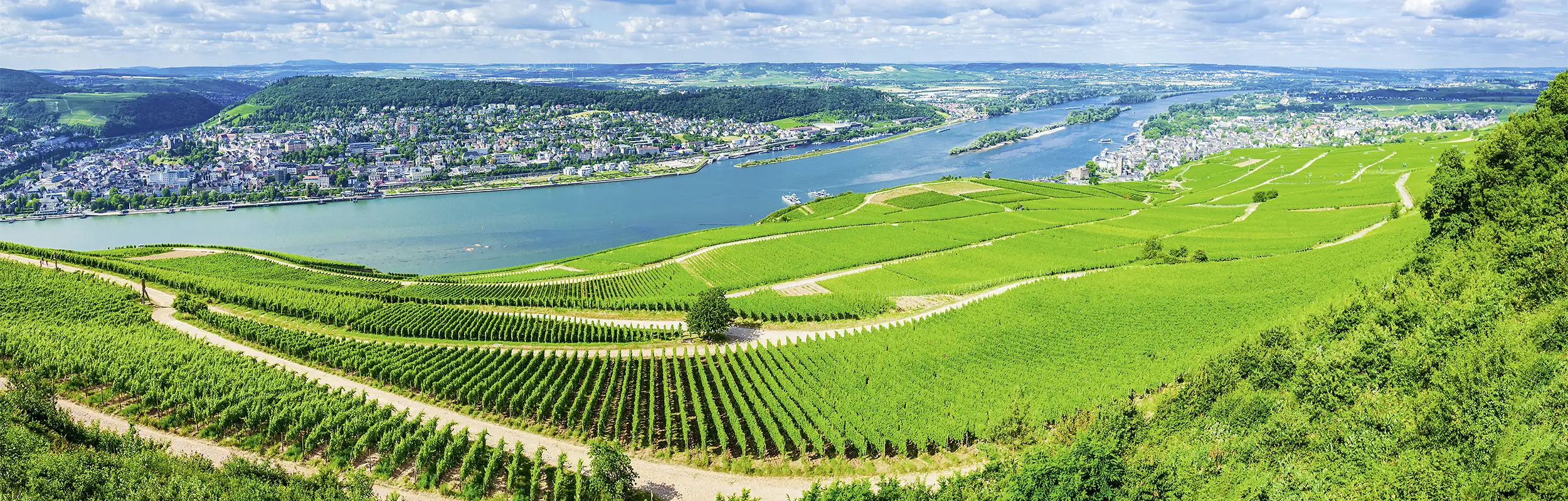 Rüdesheim mit Wein und Rhein