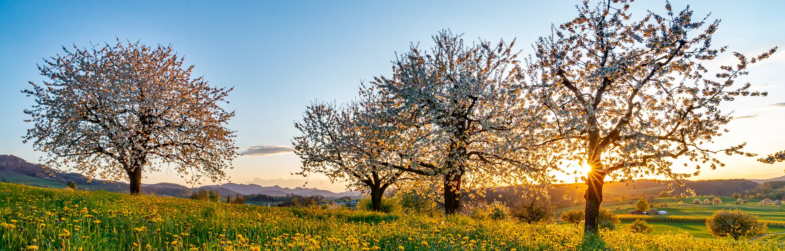 Blueschtfahrt Baselland